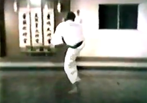 Heian Godan Shoto-kai