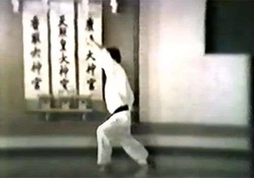 Heian Nidan Shotokai
