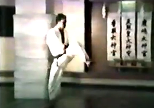 Tekki Nidan Shoto-kai